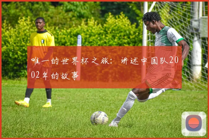唯一的世界杯之旅：讲述中国队2002年的故事