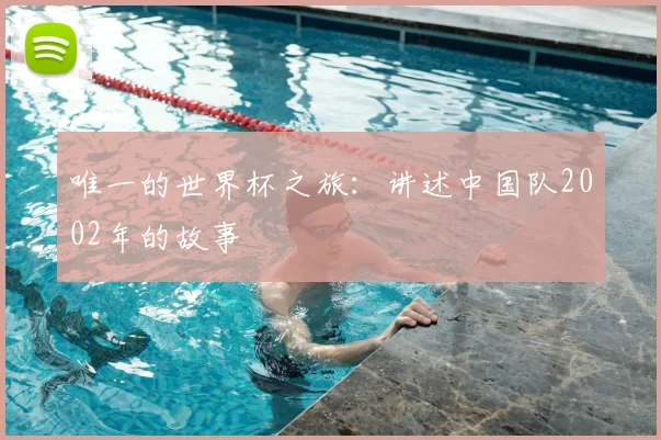 唯一的世界杯之旅：讲述中国队2002年的故事
