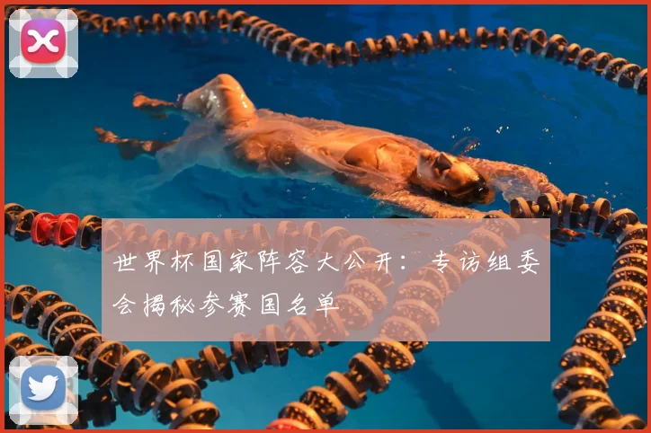 世界杯国家阵容大公开:专访组委会揭秘参赛国名单